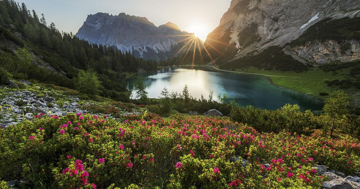Award-winning photo of a forest waterfall